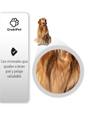Croqueta Homeasy de Pollo para perro todas las etapas contenido 20 kg