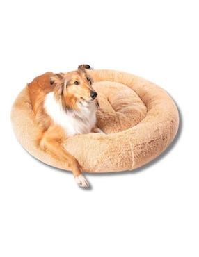 Cama Para Mascota Camita Bienestar