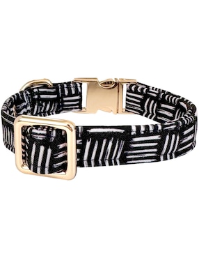 Collar Lorenzo The Dog para perro