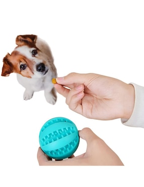Paquete de pelotas para perro Elego