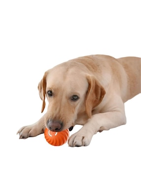Pelota para perro Elego