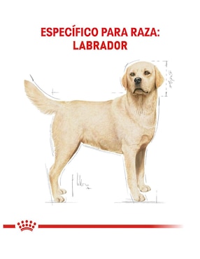Croqueta Royal Canin para perro etapa adulto contenido 7.7 kg