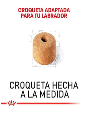 Croqueta Royal Canin para perro etapa adulto contenido 7.7 kg