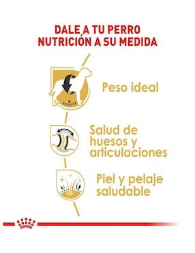 Croqueta Royal Canin para perro etapa adulto contenido 7.7 kg