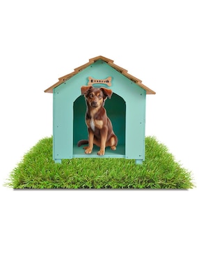 Casa para perro y gato Hogare
