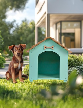 Casa para perro y gato Hogare