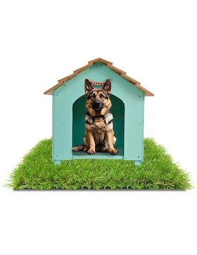 Casa para perro y gato Hogare