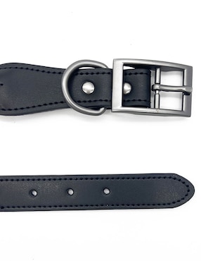 Collar Zoopet para perro