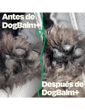 Crema Dogelthy