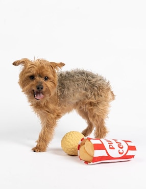 Peluche para perro Silver Paw