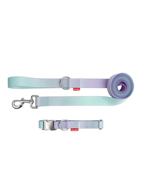 Correa y collar Silver Paw de sintético para perro