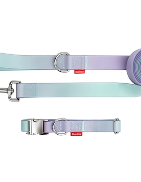 Correa y collar Silver Paw de sintético para perro