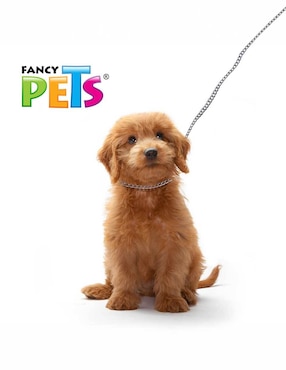 Collar Fancy Pets de acero para perro