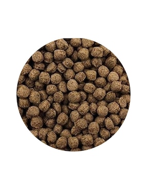 Semillas Lomas para tortuga todas las etapas contenido 90 g