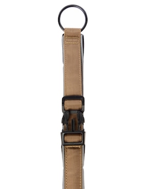 Collar Zoopet para perro