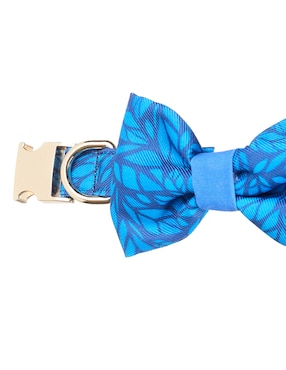 Collar Lorenzo The Dog para perro