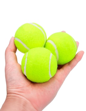 Pelota para mascota Element Resources
