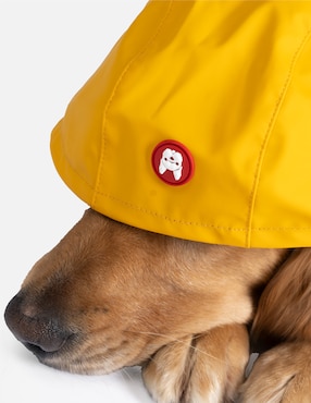 Impermeable para perro Silver Paw