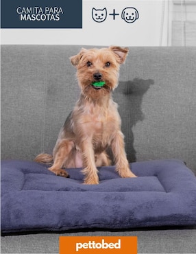 Cama para perro y gato Pet To Bed