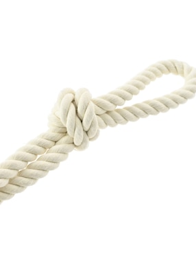 Kit de juguetes para perro Zoopet