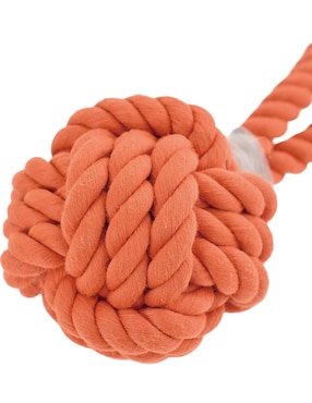 Kit de juguetes para perro Zoopet