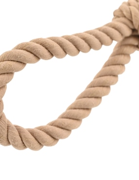 Kit de juguetes para perro Zoopet