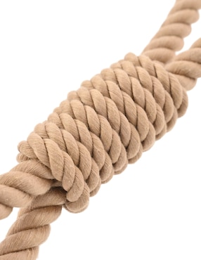 Kit de juguetes para perro Zoopet
