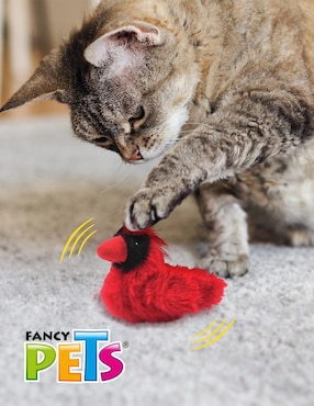 Kit de juguetes para mascota Fancy Pets
