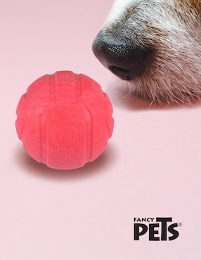 Pelota para perro Fancy Pets