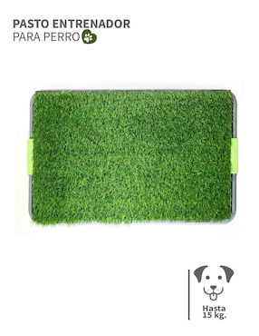 Tapete para perro Pet To Bed
