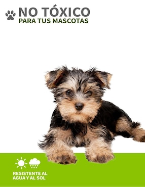 Tapete para perro Pet To Bed