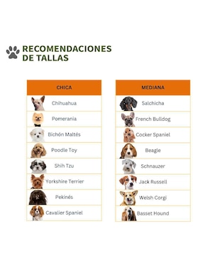 Tapete para perro Pet To Bed