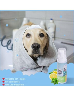 Set espuma baño en seco Nobleza para perro
