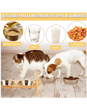 Comedero para perro y gato Xtellar