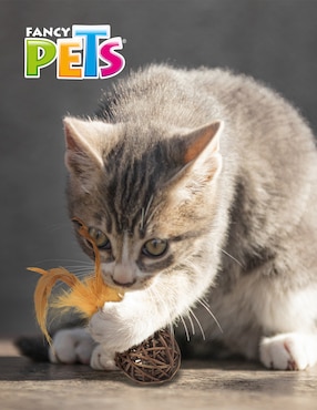 Pelota para gato Fancy Pets