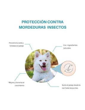 Shampoo Soleq para perro y gato