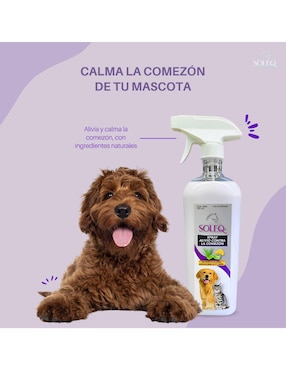 Kit de bienestar para mascota Soleq