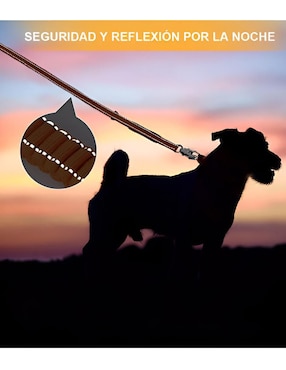 Correa Xtellar para perro