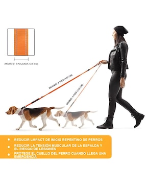 Correa Xtellar para perro