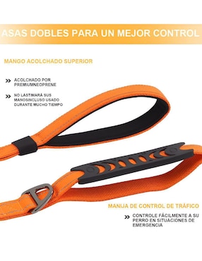 Correa Xtellar para perro