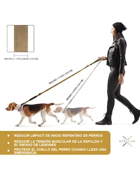 Correa Xtellar para perro