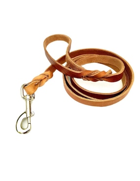 Correa Xtellar de cuero para perro