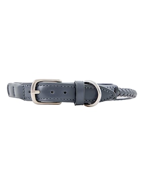 Collar Zoopet para perro