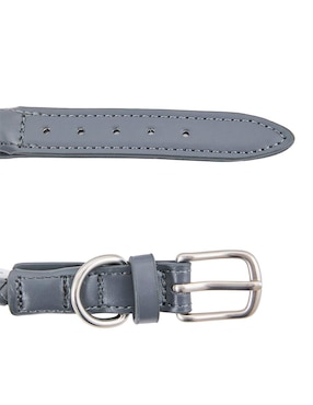 Collar Zoopet para perro