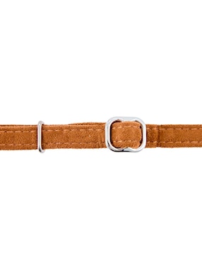 Collar Zoopet para gato