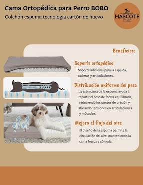 Cama para perro Mascote Studio