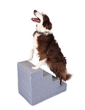 Escalera para perro y gato Pet2Go