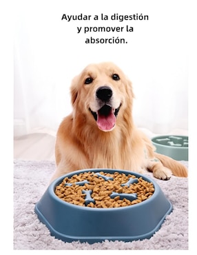 Plato para perro Xtellar