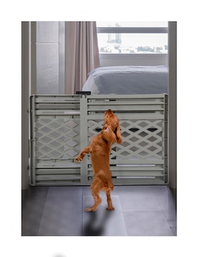puerta de seguridad de plástico para mascota level home