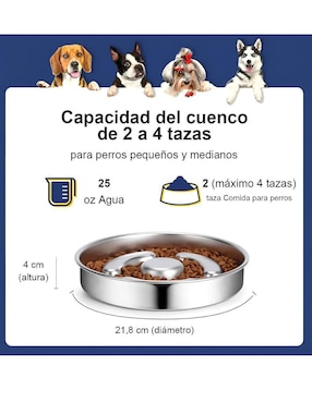 Plato para perro Xtellar